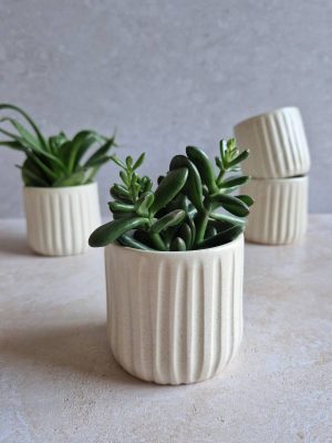 Cache-pots cannelés en grès émaillé de l'Atelier les spontanées avec des plantes vertes