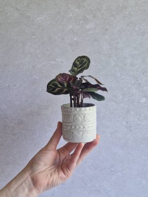 Main tenant un cache-pot en grès blanc aux motifs d'empreintes en relief